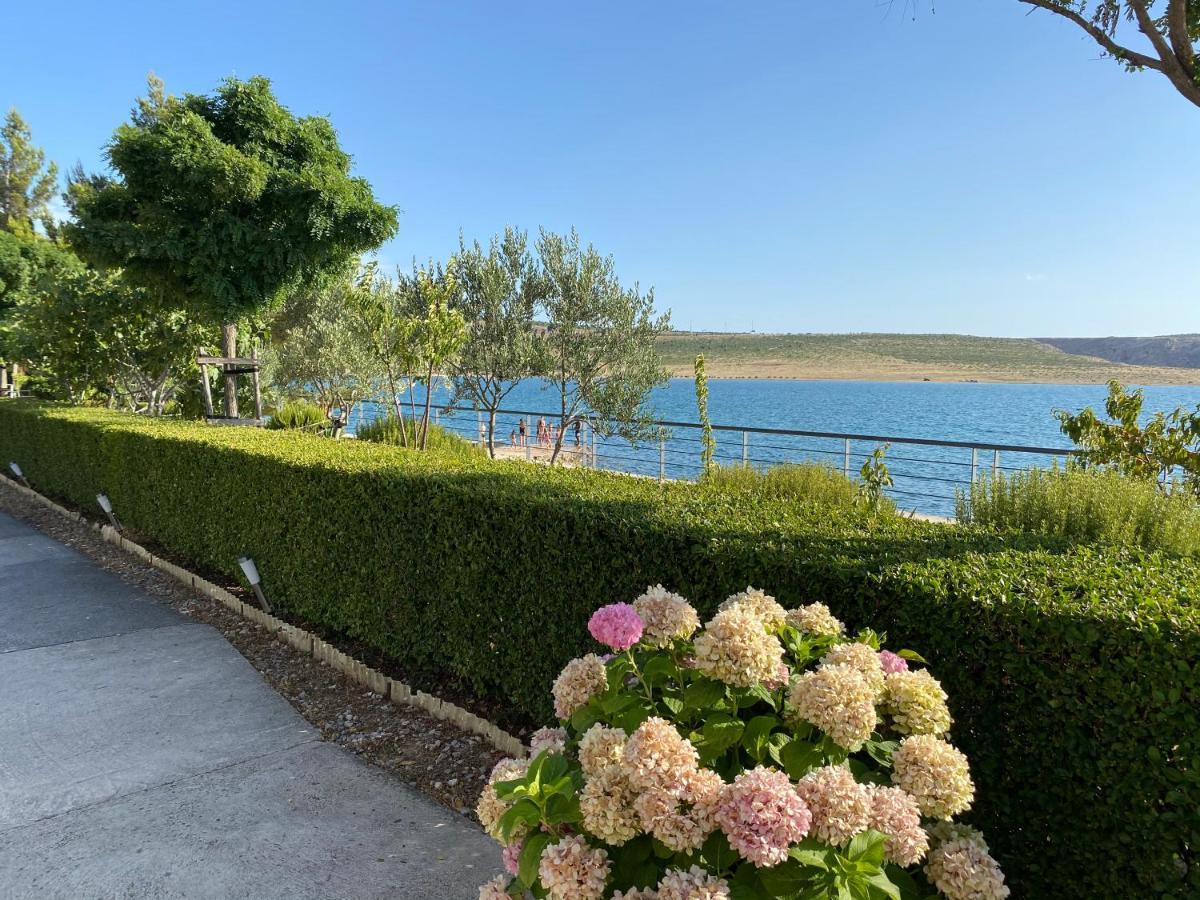Villa Punta Rovanjska Eksteriør billede